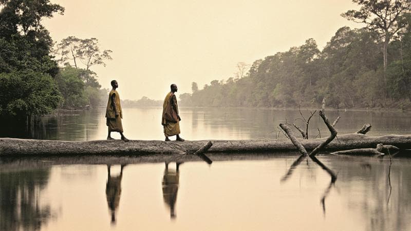 Monaci buddisti camminano su un tronco al tramonto in Cambogia