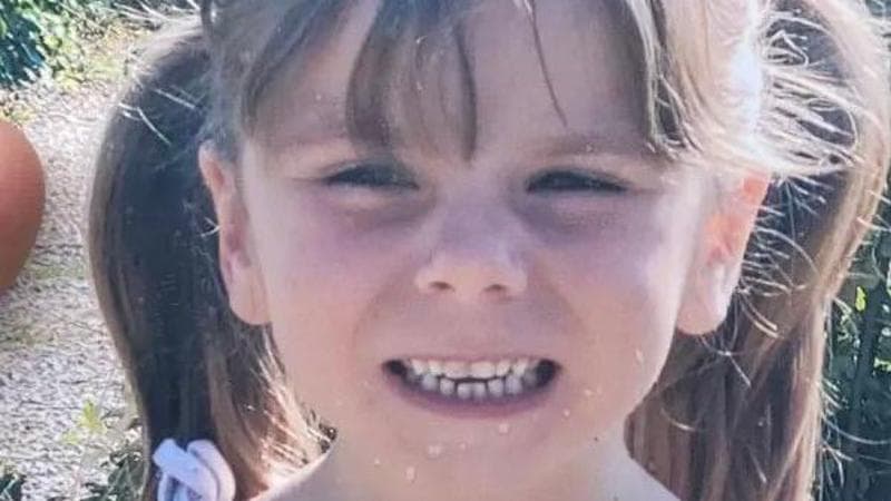 Francia, trovato in un bosco il corpo di una bambina scomparsa. Arrestato sospettato: è il compagno della madre