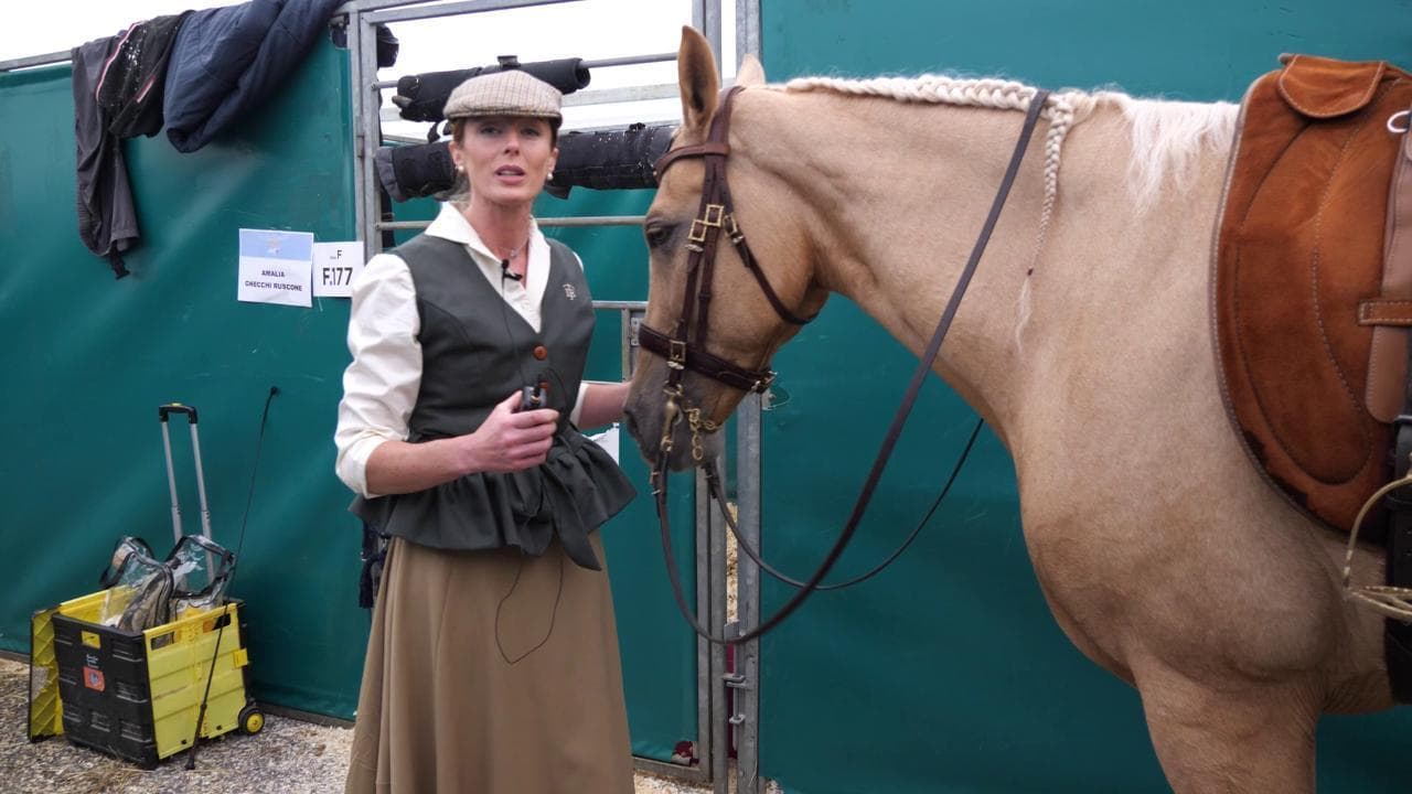 Fieracavalli 125, tutti i segreti della monta all'amazzone: come si pratica la cavalcata rigorosamente femminile