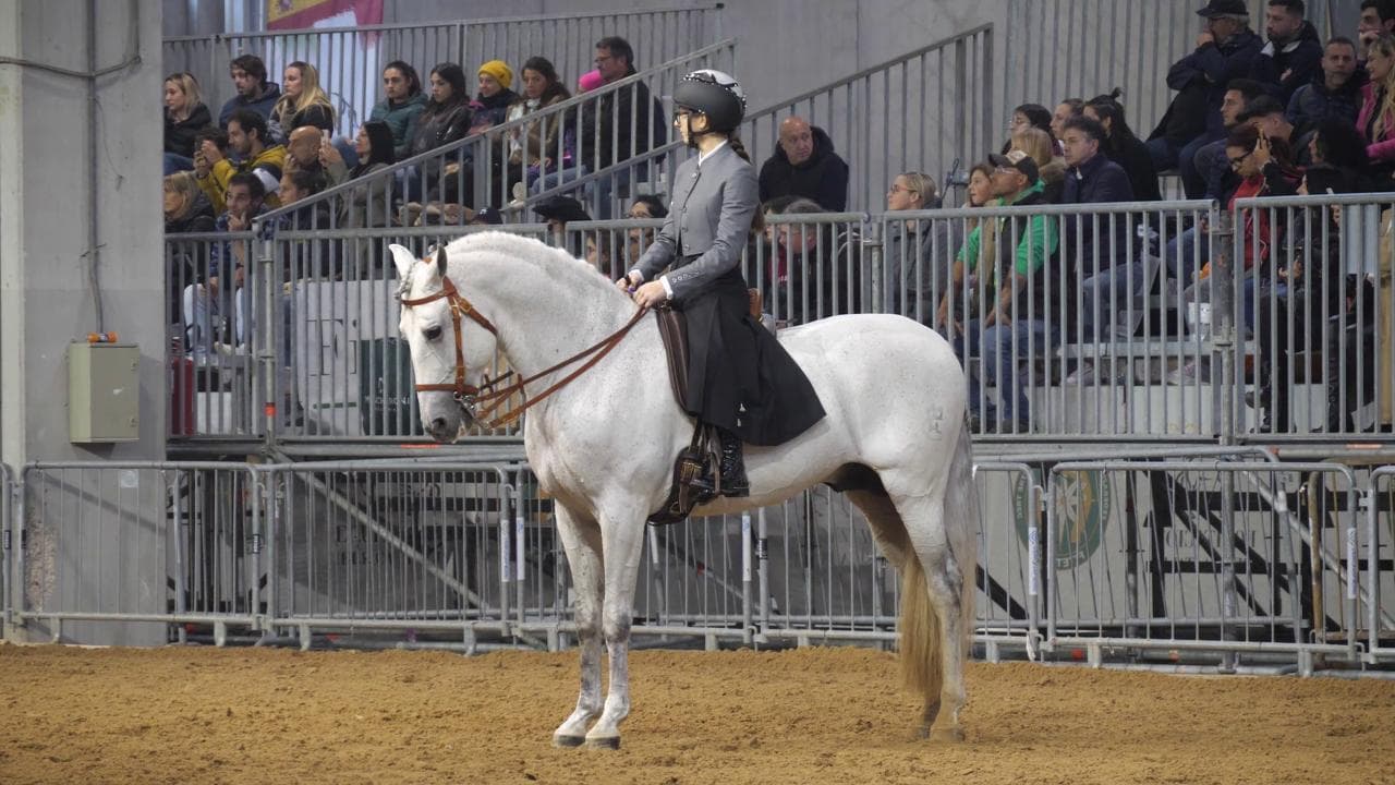 Fieracavalli 125: per la prima volta percorsi separati per gli equini: i visitatori d'accordo con la scelta: "E' per il bene dei cavalli"