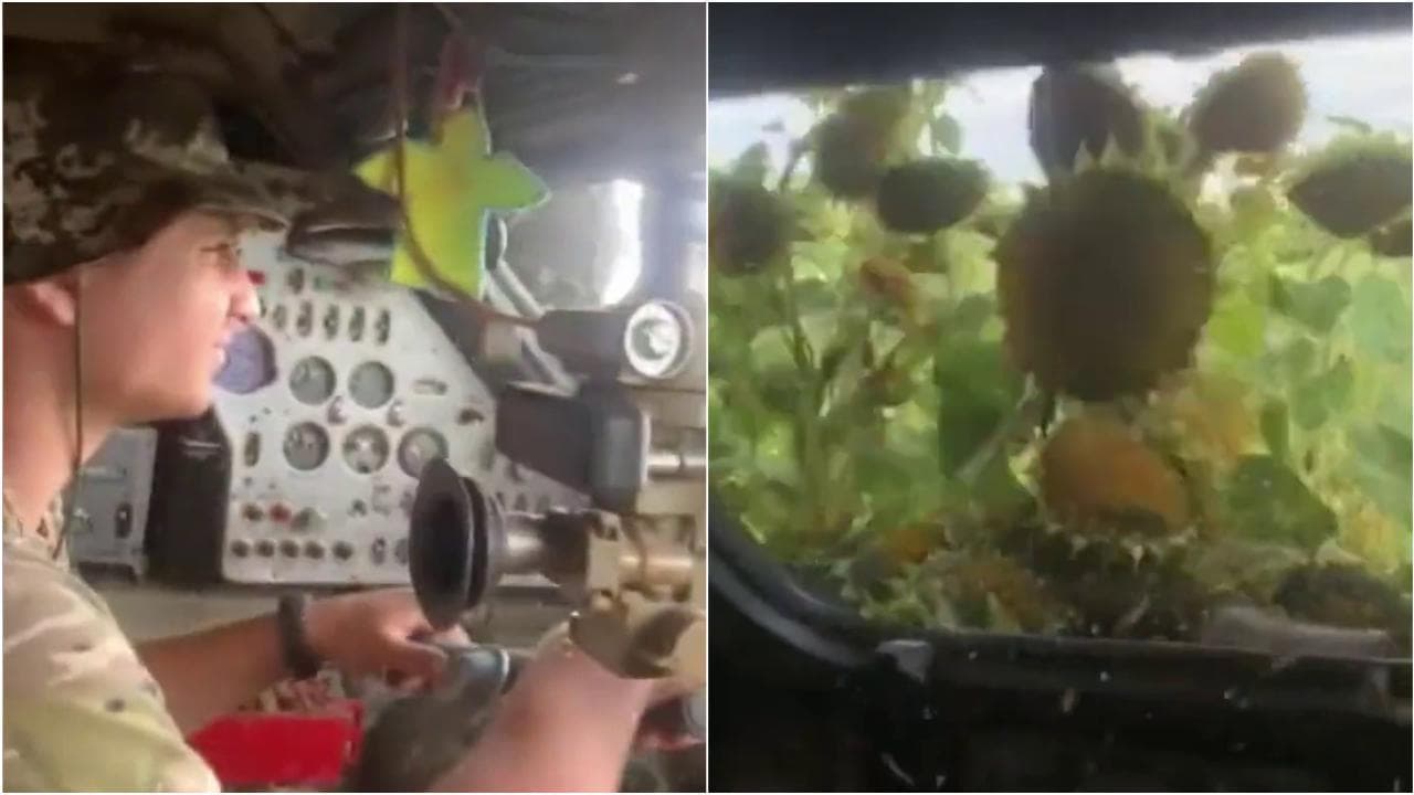 Il blindato si tuffa tra i girasoli