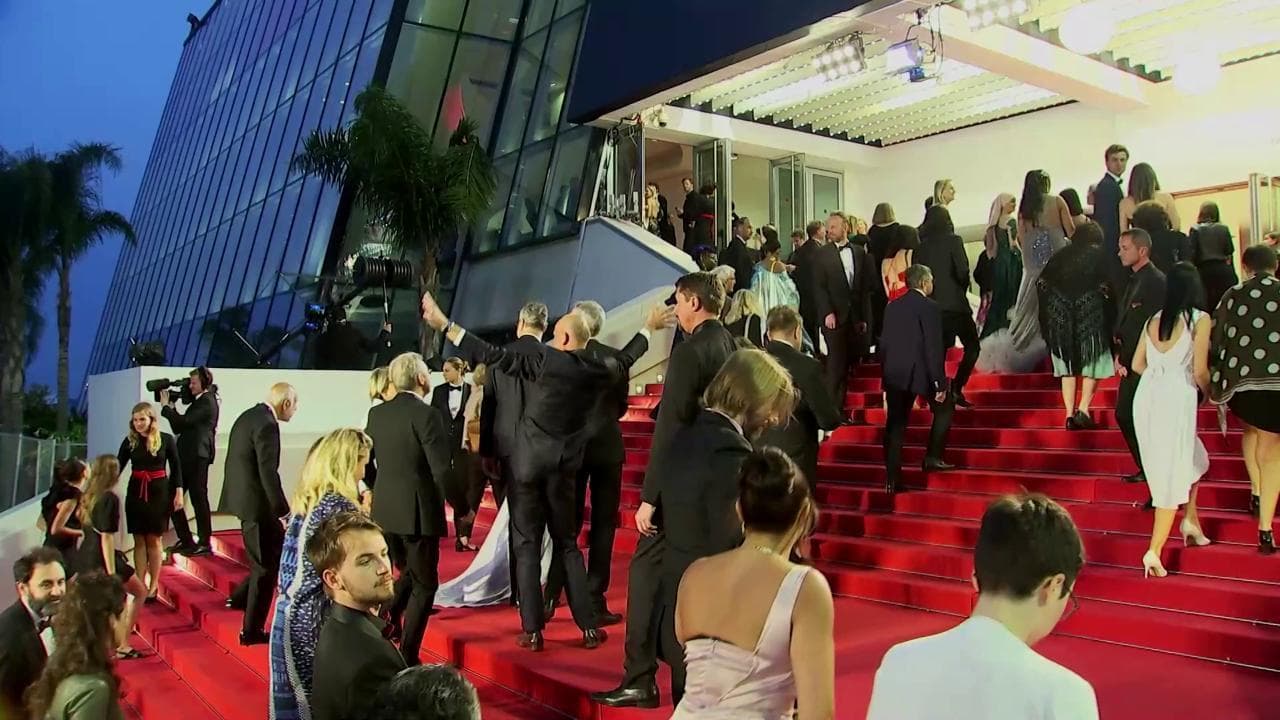 L'omaggio del Festival di Cannes a Tina Turner, i suoi migliori successi accompagnano il red carpet
