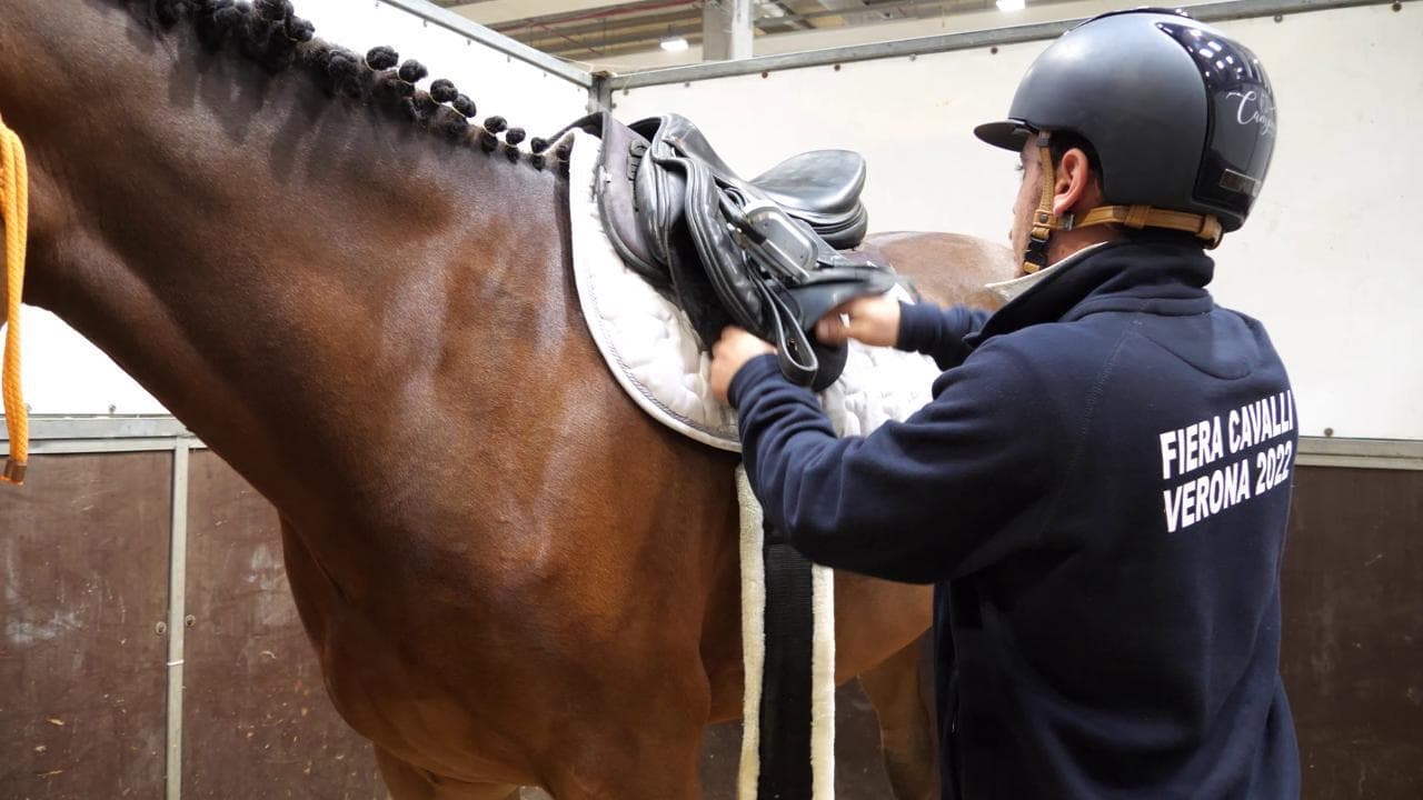 Fieracavalli 22, i cavalli del Catria ripartono dopo l'alluvione: "La nostra fiera è saltata ma ora siamo qua"