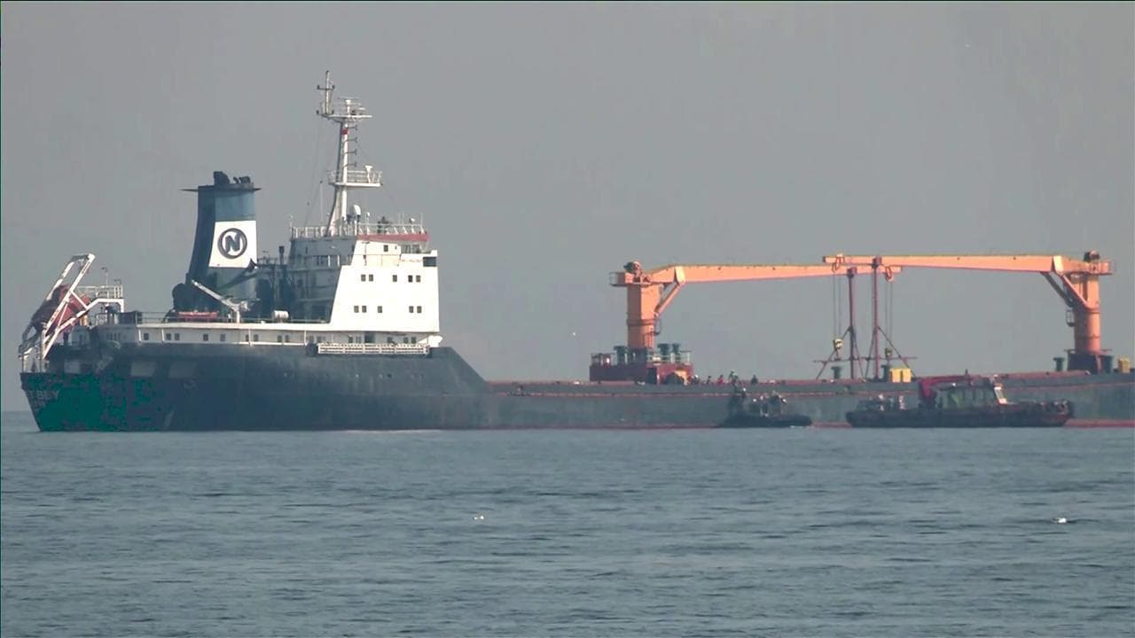 Blocco del grano, ispettori Onu e turchi salgono a bordo di un cargo: trasporta 7.600 tonnelatte di soia