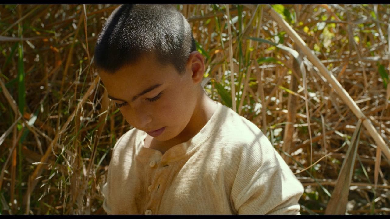 Salvatore Mereu a Venezia 79 racconta il vento con 'Bentu' - clip
