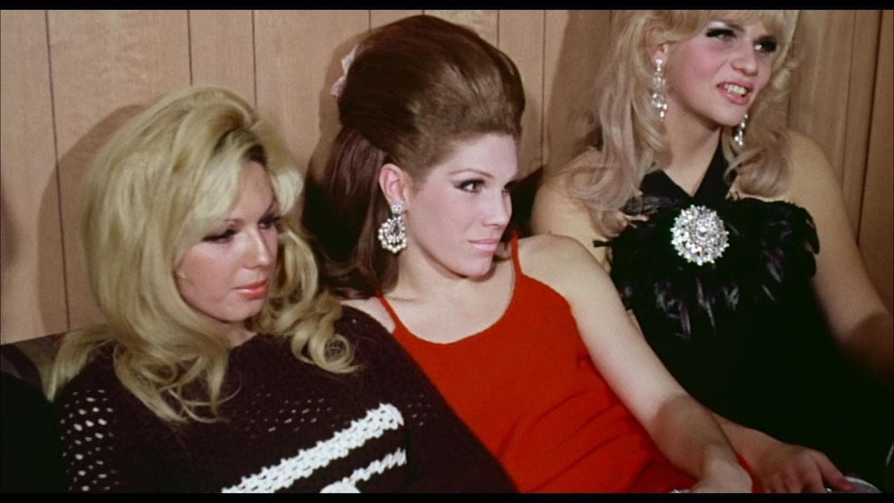 Venezia, 79, 'Casa Susanna', il doc sui travestiti che sfidavano l'America anni Cinquanta