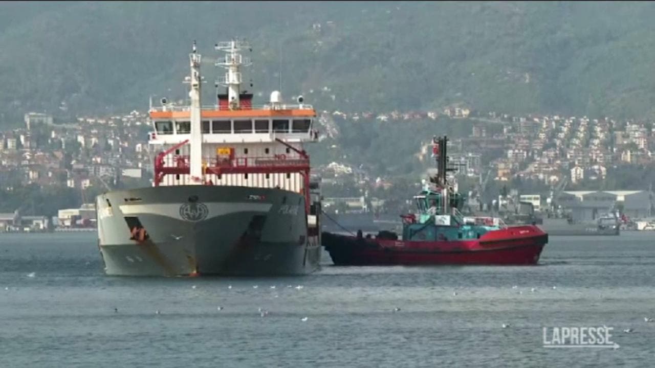 Ucraina, la prima nave carica di 12mila tonnellate di grano è arrivata a destinazione