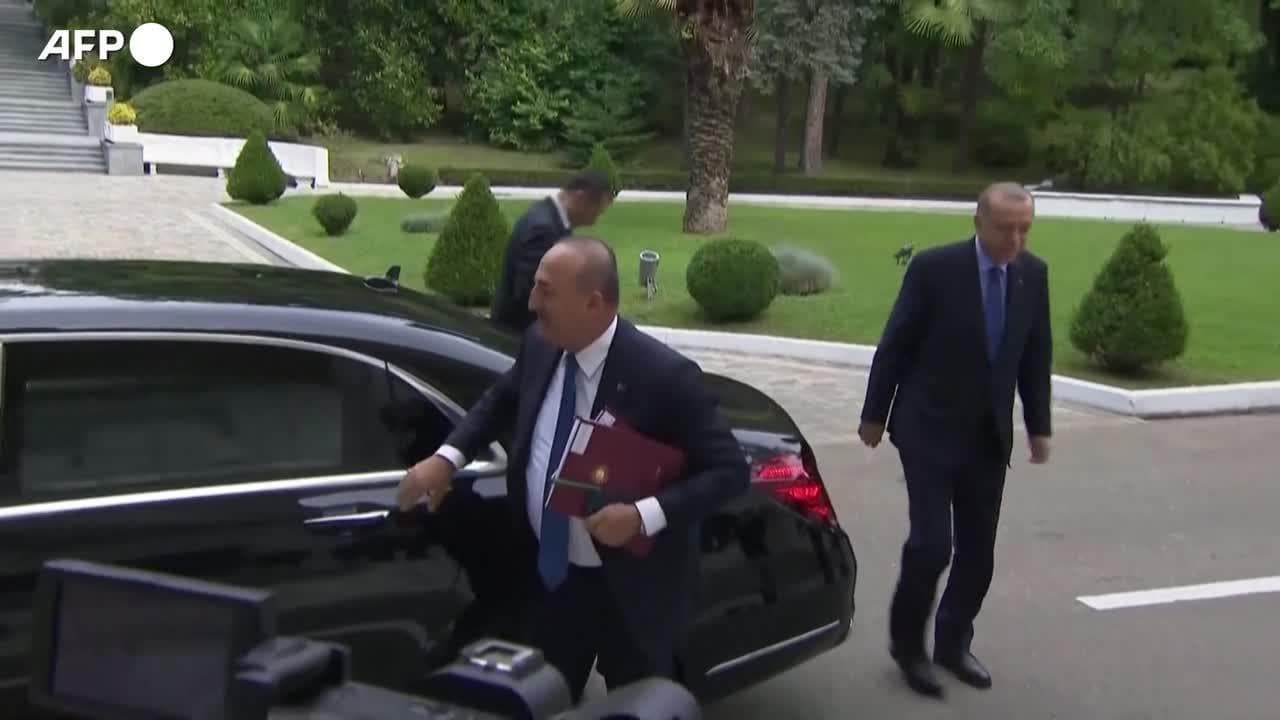 Accordo sul grano, Putin: "Previsto un memorandum su cooperazione economica con Ankara"