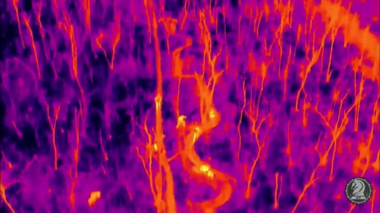La terribile visione psichedelica del drone killer