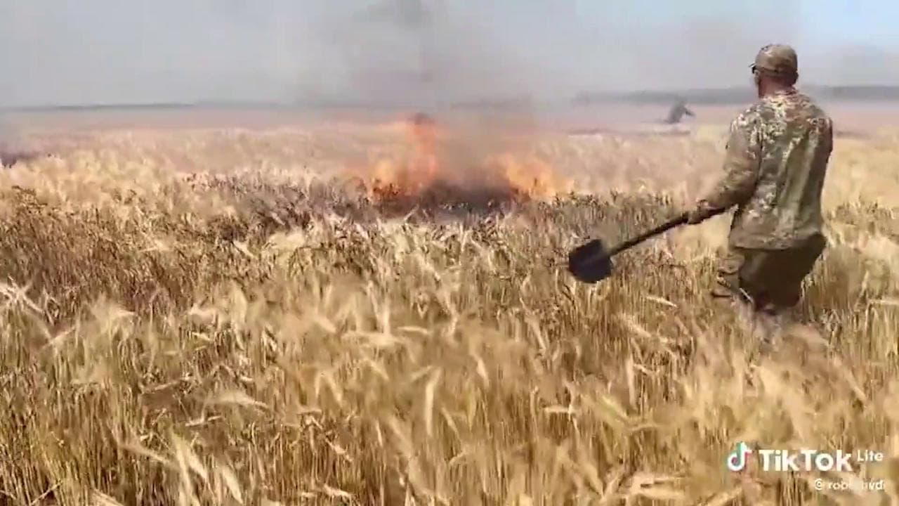 Ucraina, l'altra battaglia dell'esercito di Kiev: salvare dalle fiamme le spighe di grano nei campi