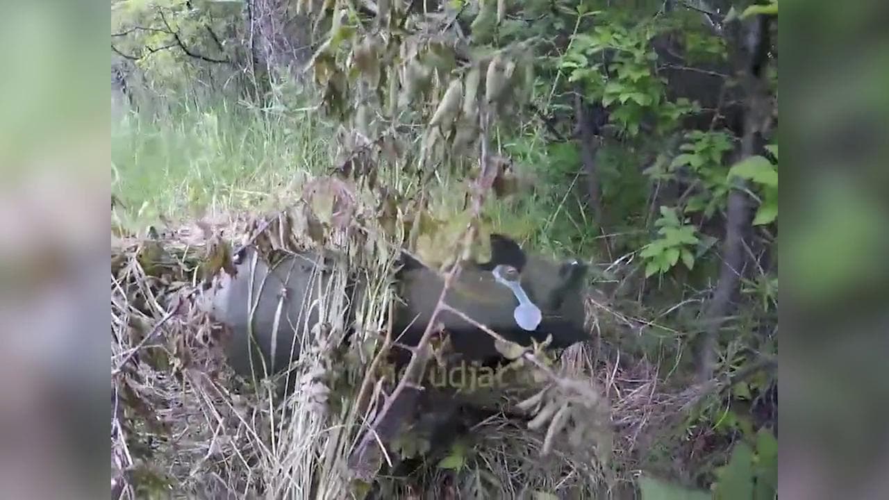 Ucraina, spuntano gli ibridi tra mine e razzi