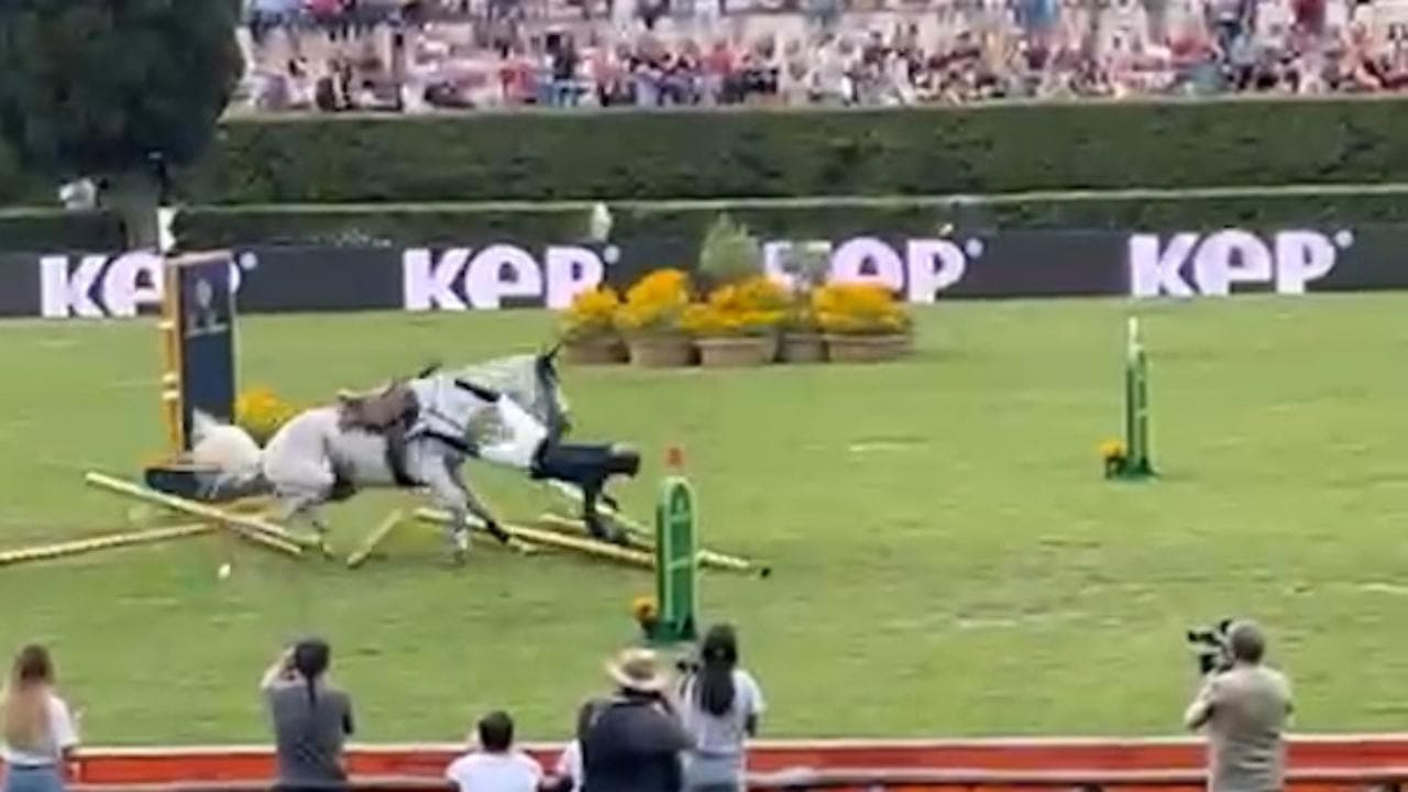 Equitazione, rovinosa caduta a Piazza di Siena: si attiva l'airbag sotto alla giacca del cavaliere