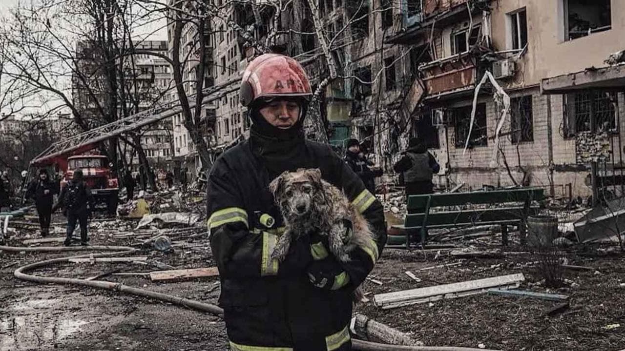 Dalle bombe alla ricostruzione delle città: il video del governo ucraino con la voce di Zelensky