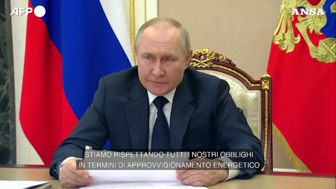 Putin: "Rispettiamo gli impegni di export dell'energia"