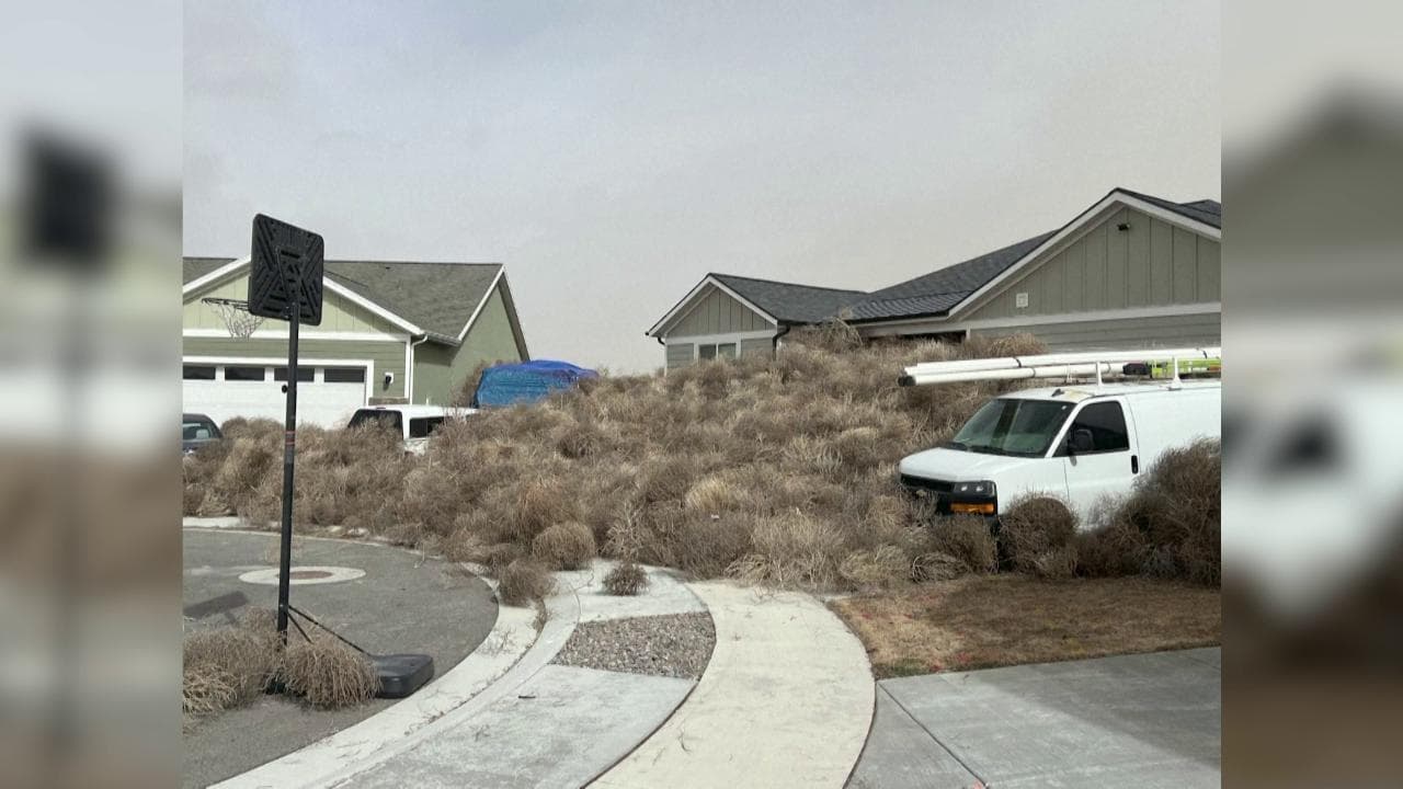 Usa, i rotolacampo fanno 'sparire' la città: sommersa da migliaia di sterpi