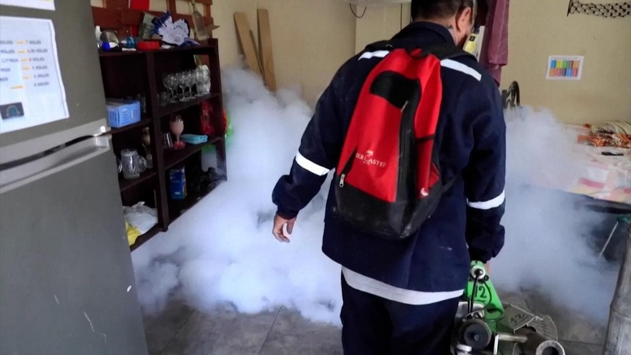 In Perù dichiarato lo stato di emergenza sanitaria per l'epidemia causata dalla zanzara Dengue