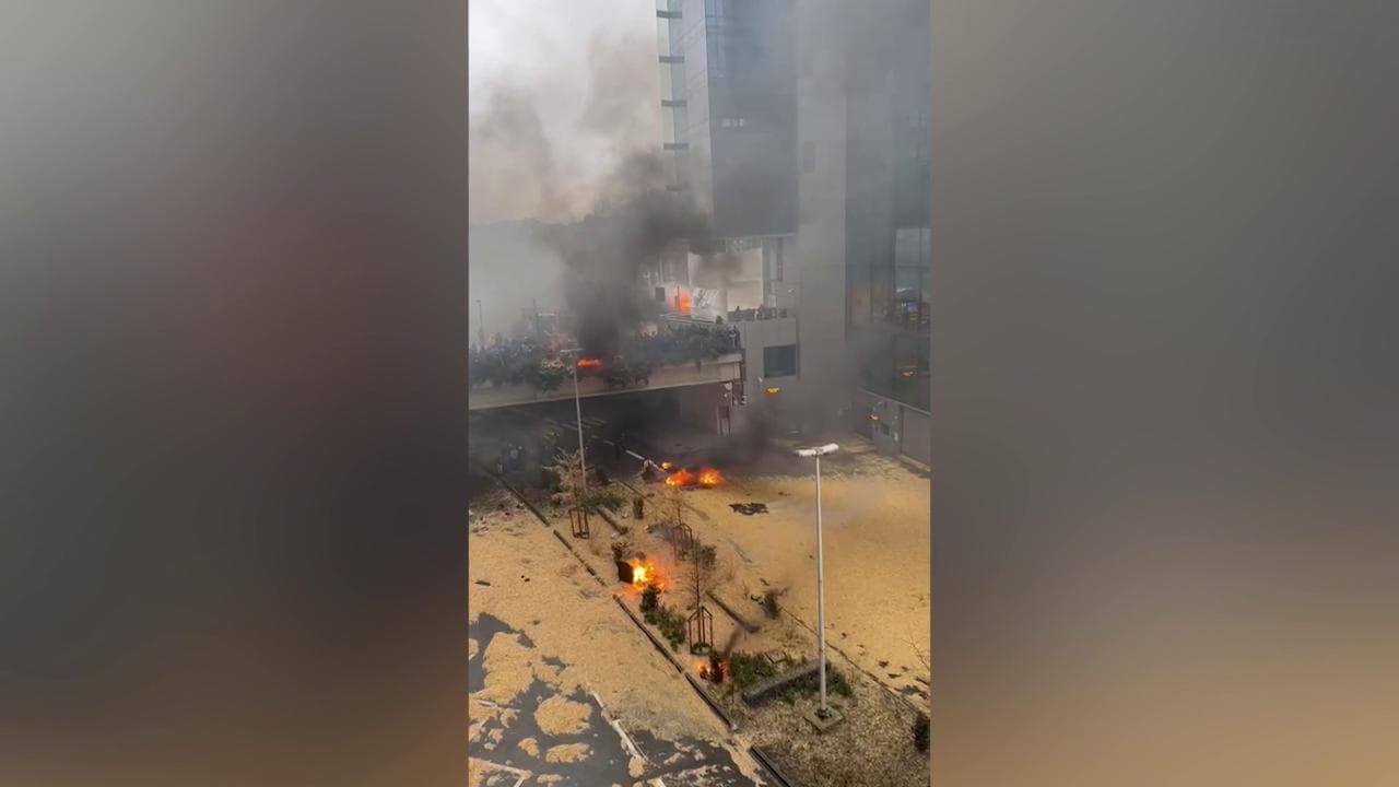 Trattori a Bruxelles, gli agricoltori tappezzano rue de la Loi di fieno