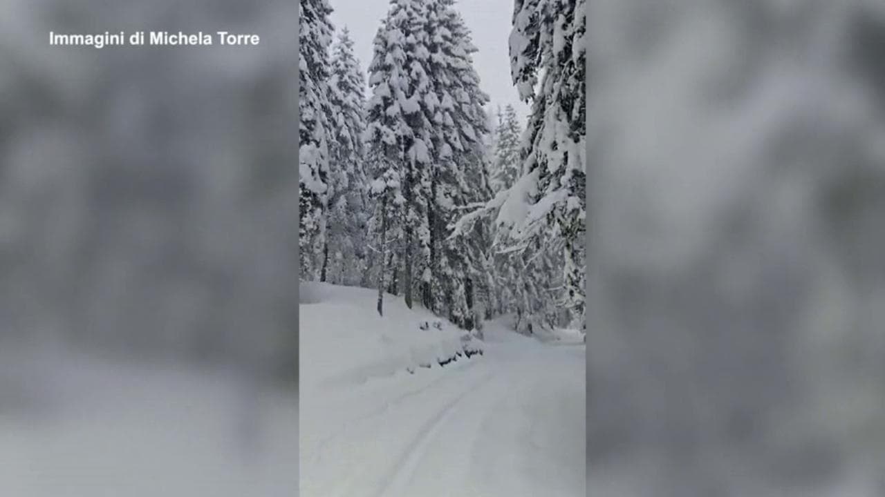 Dolomiti,il gatto delle nevi avanza nella tormenta: strade e boschi scomparsi sotto la neve