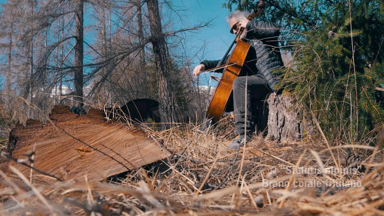 Pista da bob a Cortina, il violoncellista Brunello suona tra gli alberi abbattuti: "Stop allo scempio"