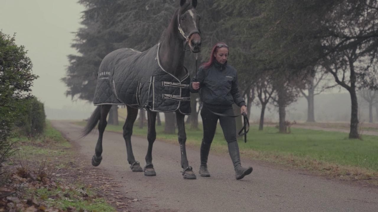 "Io sono Varenne", un documentario sul cavallo più grande nella storia del trotto