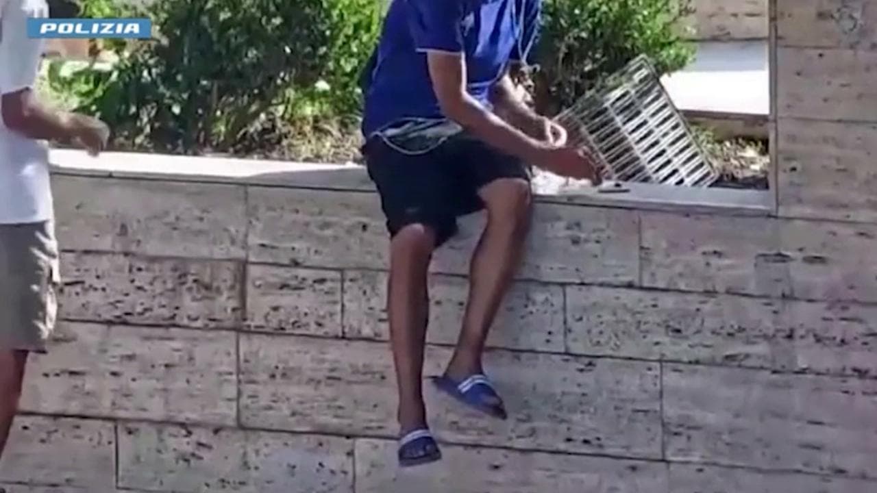 Perugia, avevano creato un mercato all'aperto della droga esposta e pesata. Nove misure cautelari
