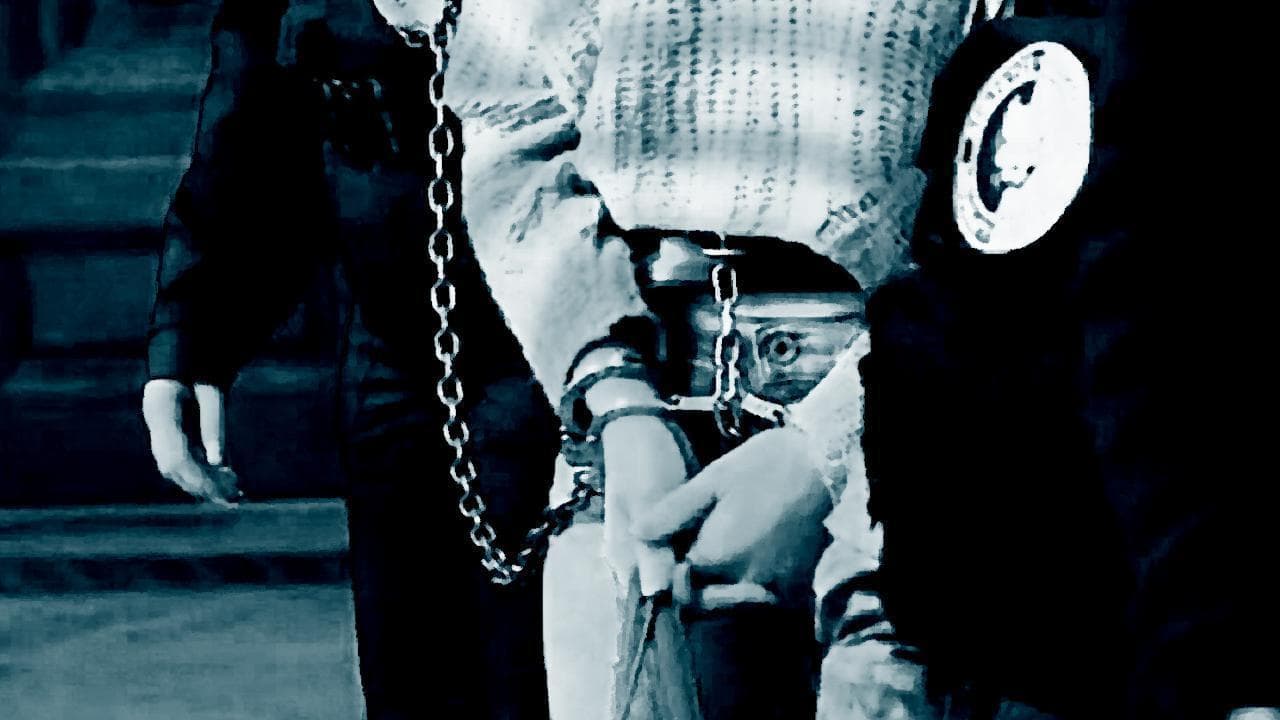 Budapest, Ilaria Salis in aula per il processo: legata mani e piedi e tenuta al guinzaglio