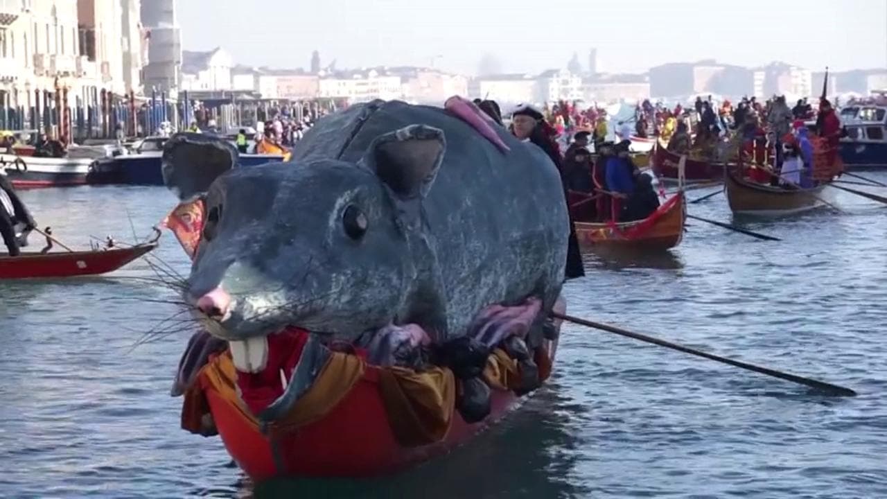 Venezia dichiara aperto il carnevale: la regata della pantegana attraversa il Canal Grande