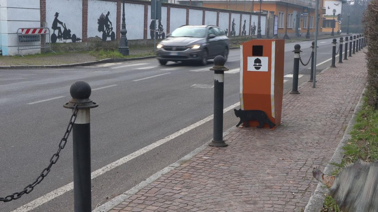 Pavia, un finto autovelox con finto gatto nero provoca rallentamenti e polemiche