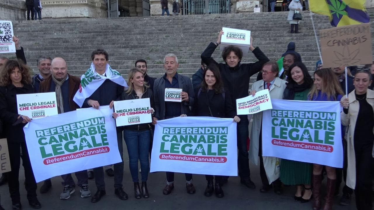 Referendum Cannabis, depositate le firme in Cassazione: "Quella attuale è una legge schizofrenica"