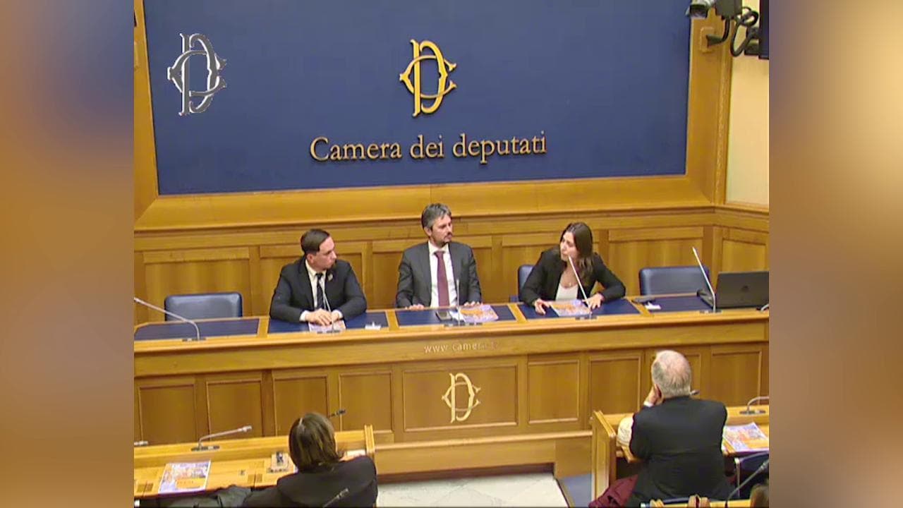 Convegno anti-aborto alla Camera: "Donna non autorizzata a uccidere feto nemmeno in caso di stupro"