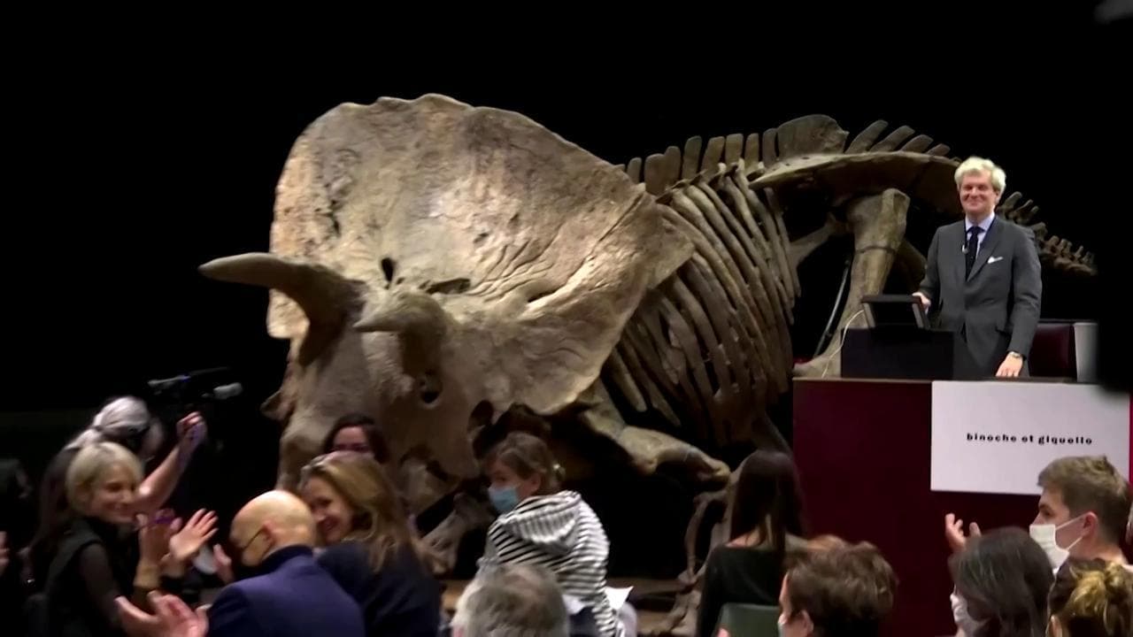 Big John battuto all'asta: il triceratopo più grande del mondo venduto per 5,5 milioni di euro