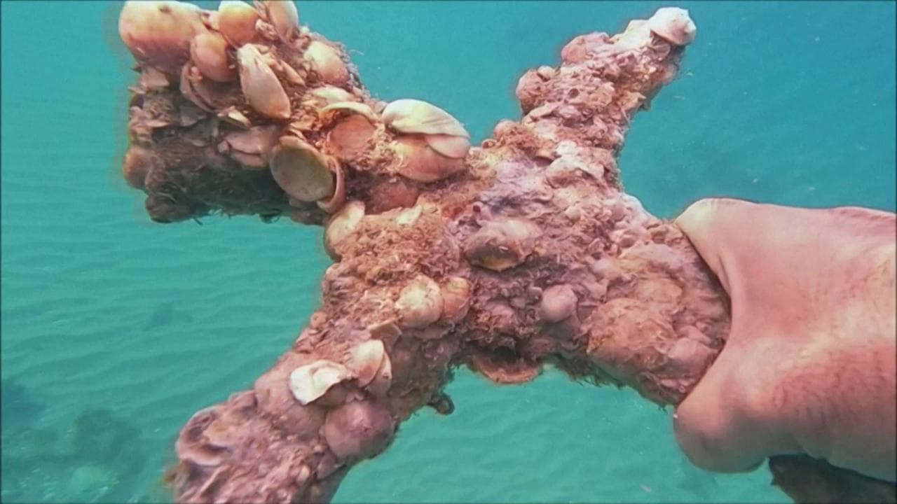 Israele, sorpresa in mare: sub ritrova la spada di un crociato. Gli esperti: "L'arma ha 900 anni"