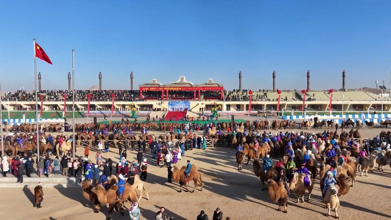 Oltre diecimila cammelli protagonisti della festa del Naadam in Cina