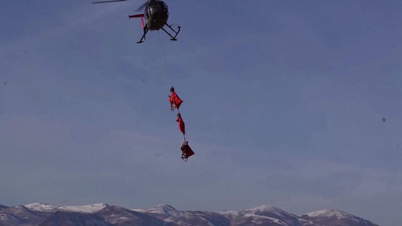 "No, quelle non sono le renne di Babbo Natale!": il video virale dagli Usa
