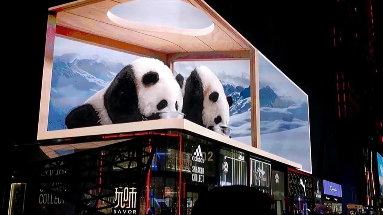 Cina, due panda iperrealistici su un cartellone 3D stupiscono i passanti