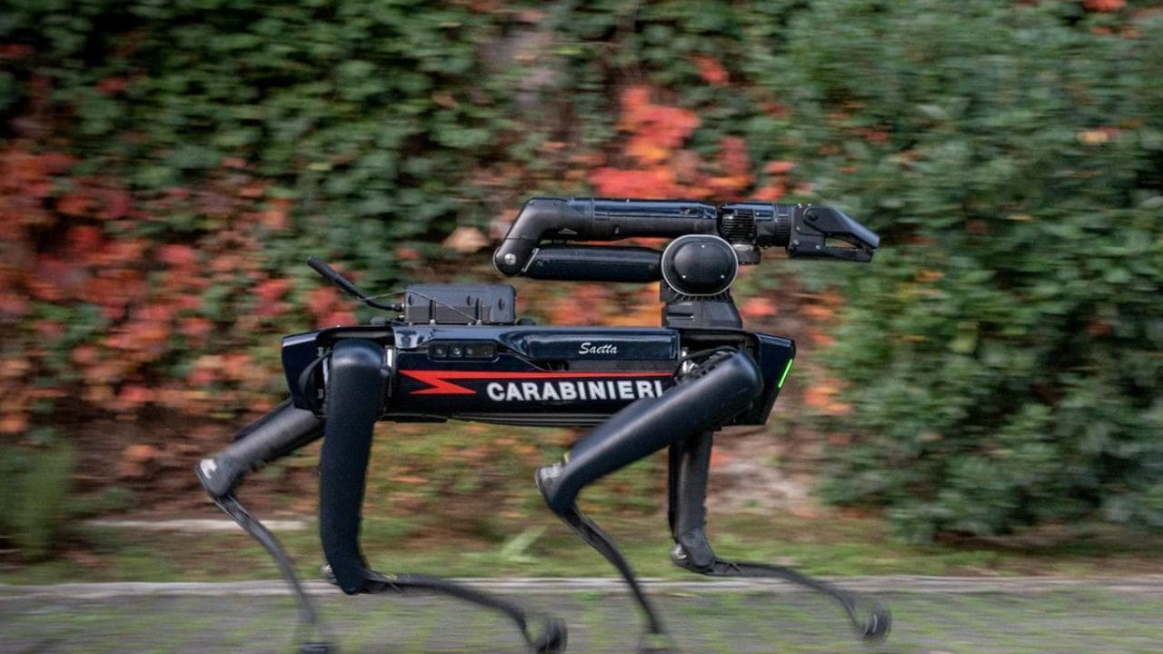 Un "cane" robot in dotazione ai Carabinieri: cosa è in grado di fare "Saetta"