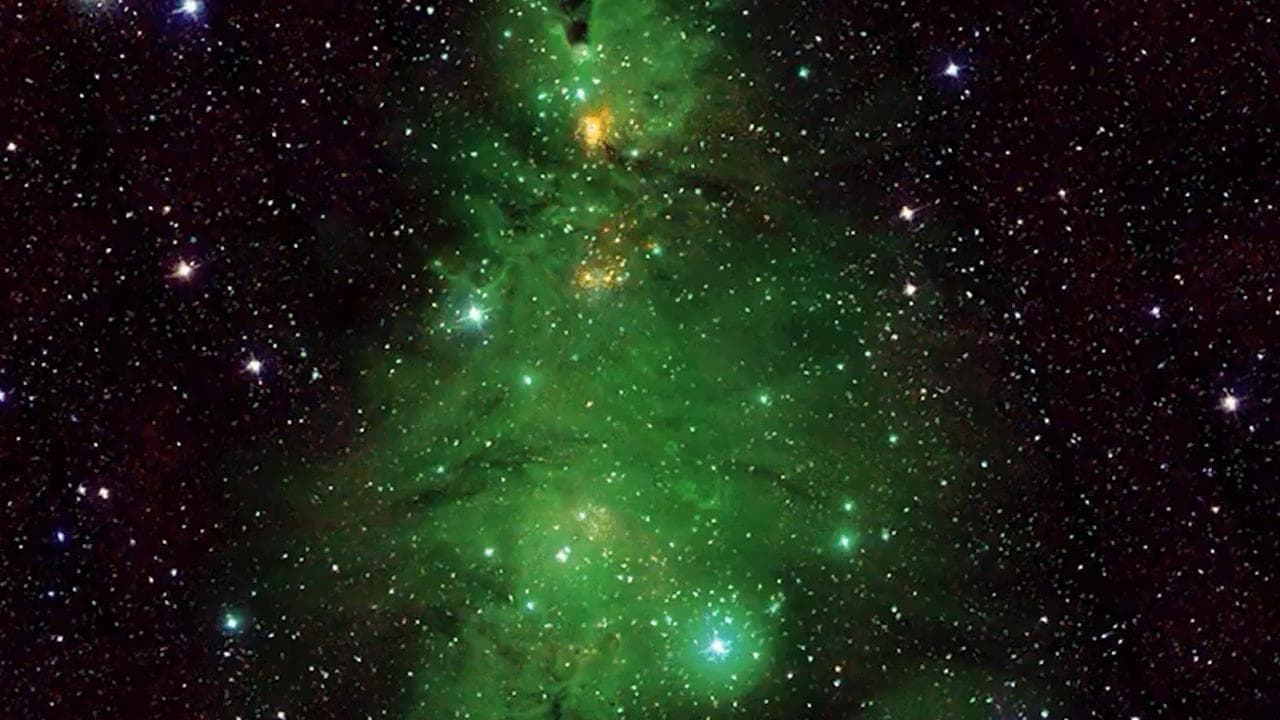 L'albero di Natale più grande e spettacolare dista 2500 anni luce: è fatto di stelle che cambiano colore