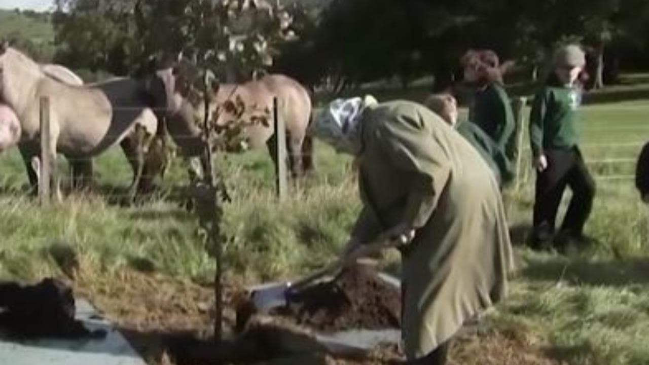 La regina degli alberi: Elisabetta, pala alla mano, dà il via alle iniziative "green" del Giubileo 2022