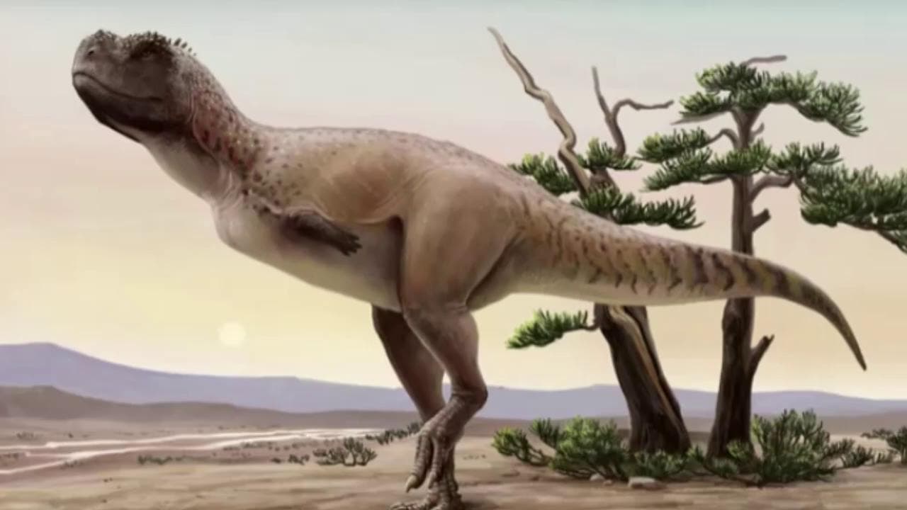 Brasile, scoperta una nuova specie di dinosauro in vita 70 milioni di anni fa