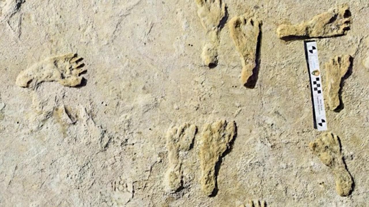 Usa, scoperte impronte umane di 20mila anni fa. L'esperto: "Ora abbiamo più certezze su nostre origini"