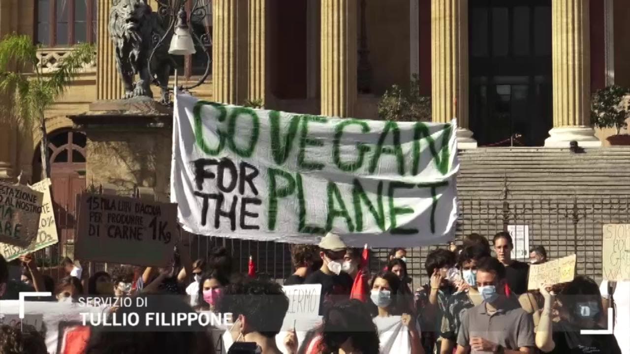 A Palermo Fridays for future: "Vogliamo una Sicilia ecosostenibile"