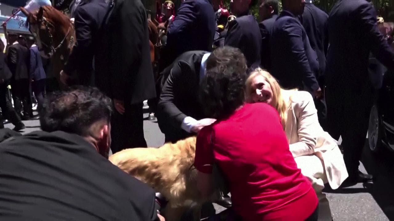 Buenos Aires, Milei interrompe il corteo presidenziale per andare a salutare un cane
