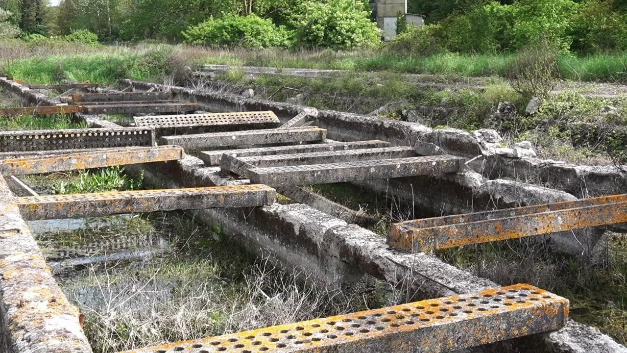 Ecco dove sorgerà il biobosco di Unicoop Firenze