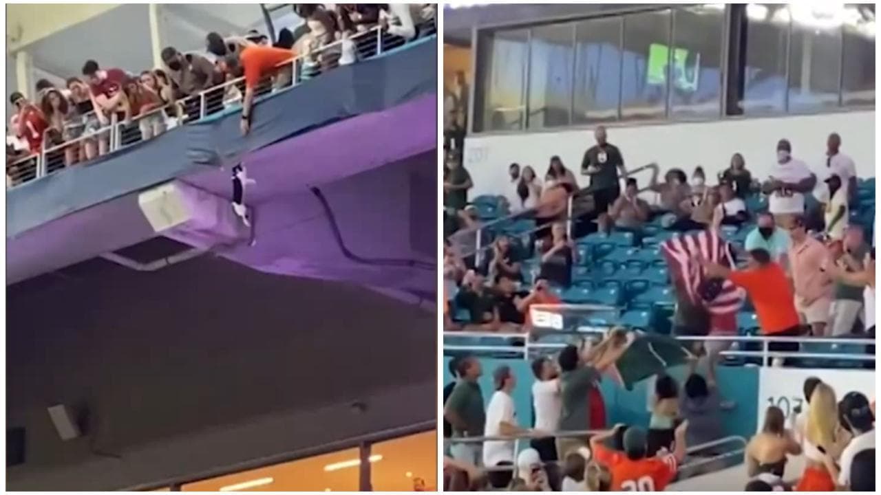 Un gatto precipita dalla tribuna dello stadio: il salvataggio dei tifosi è da brividi