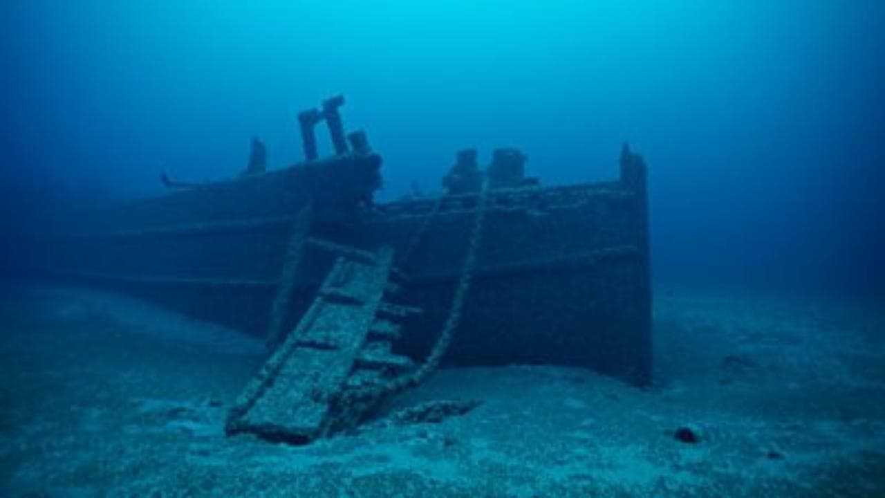 Coppia di documentaristi cerca delle cozze invasive ma scopre il relitto di una nave di 128 anni fa