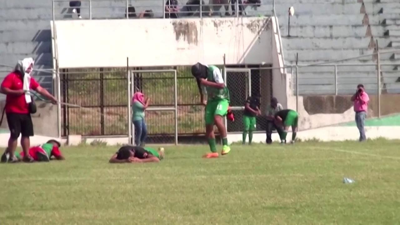 Bolivia, panico tra i calciatori: uno sciame di api invade il campo durante la partita