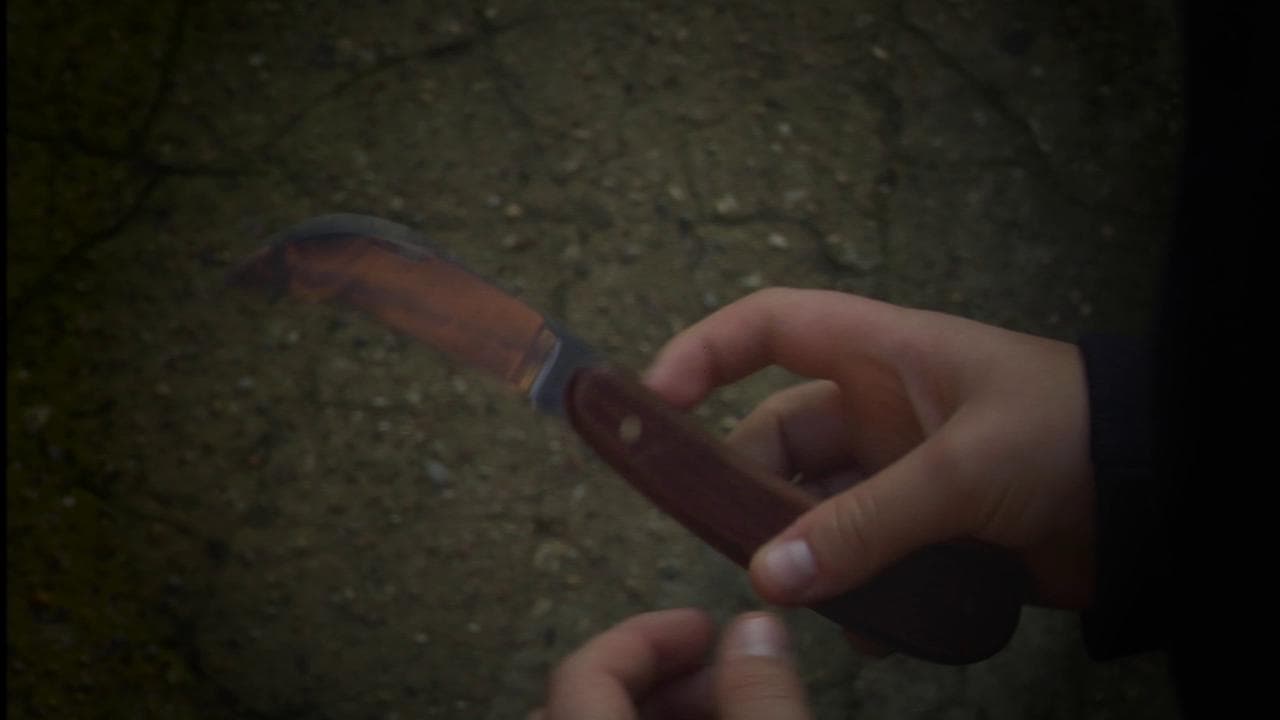 Loop criminalità minorile