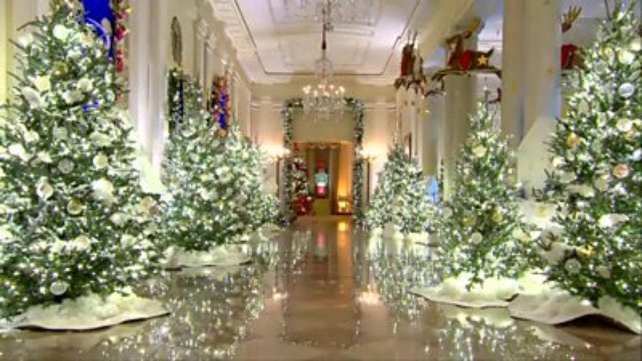 Novantotto alberi di Natale e 140mila luci: le decorazioni natalizie trasformano la Casa Bianca in una fiaba