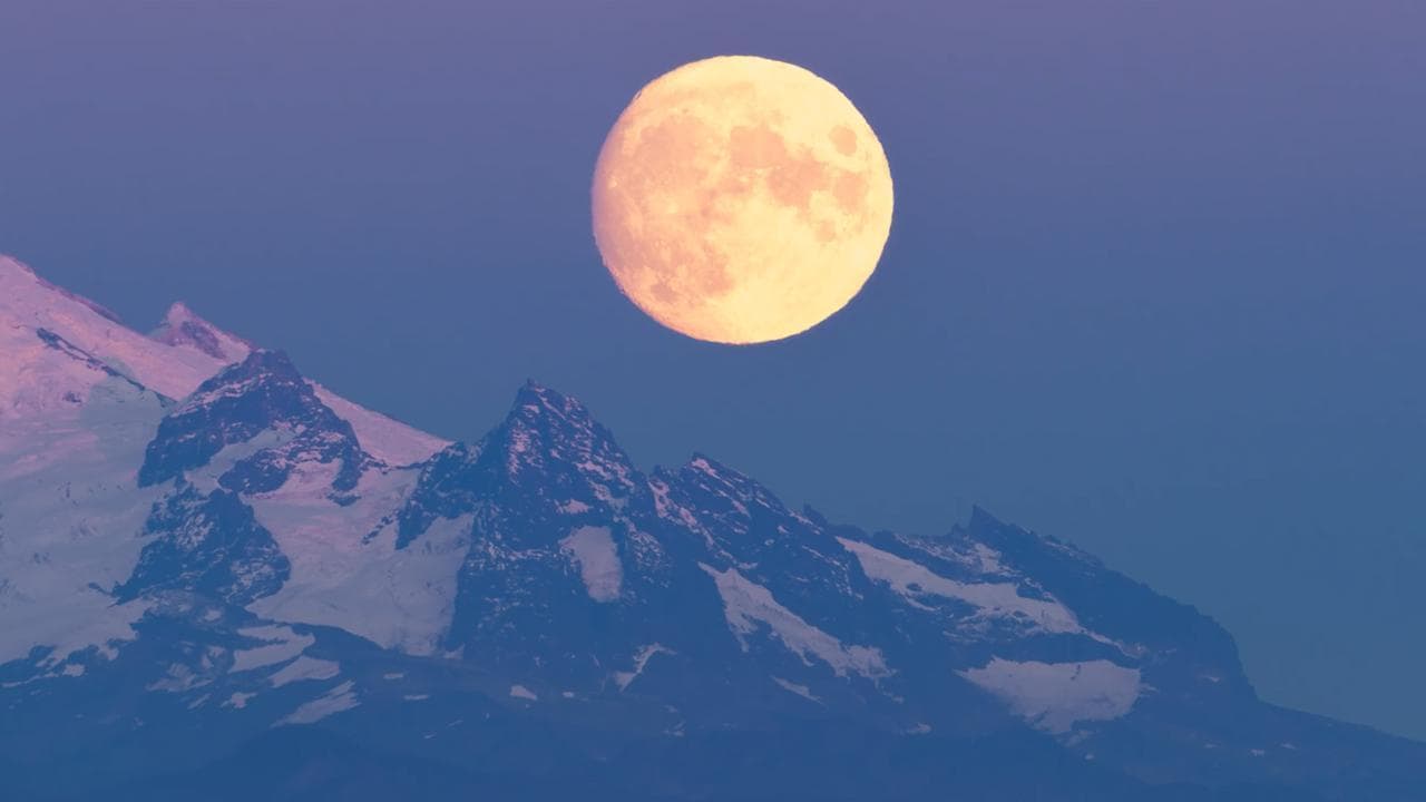 Arriva la "Luna del castoro": come e quando vedere la "Super Luna" di novembre e perché ha questo nome