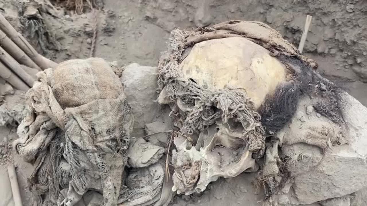 Ritrovate in Perù mummie di mille anni fa: il sito sacro vicino a un campo da calcio